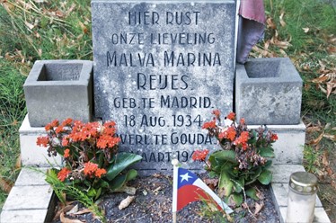 afbeelding4.jpg