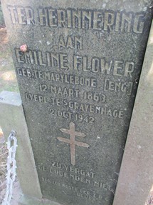 afbeelding7.jpg